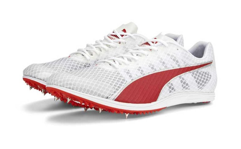 Marathon Sports Puma Evospeed Distance 11 Spikes