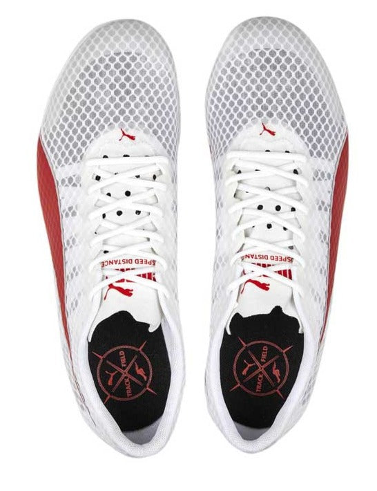 Marathon Sports Puma  Evospeed Distance 11 Spikes