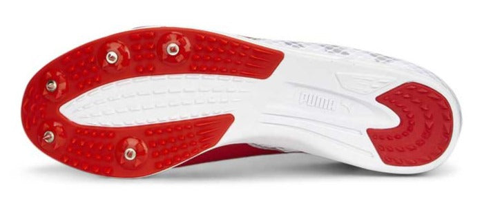 Marathon Sports Puma  Evospeed Distance 11 Spikes