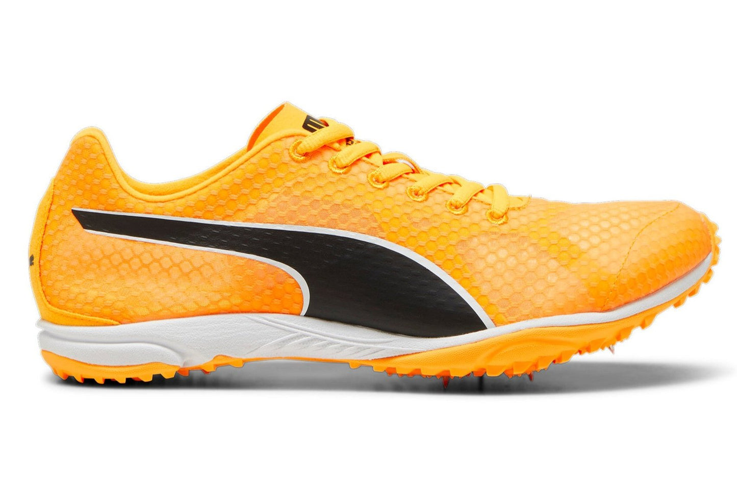 Marathon Sports Puma Unisex evoSpeed Harraka 8